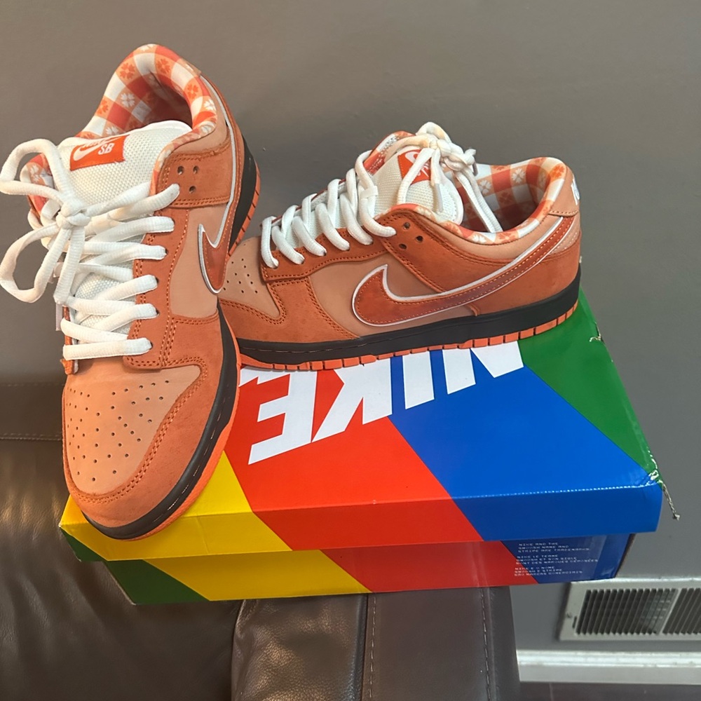 Orange Lobsters SB